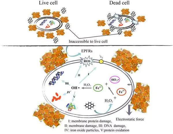 生物降解-办理生物降解EN13432标准第三方实验室